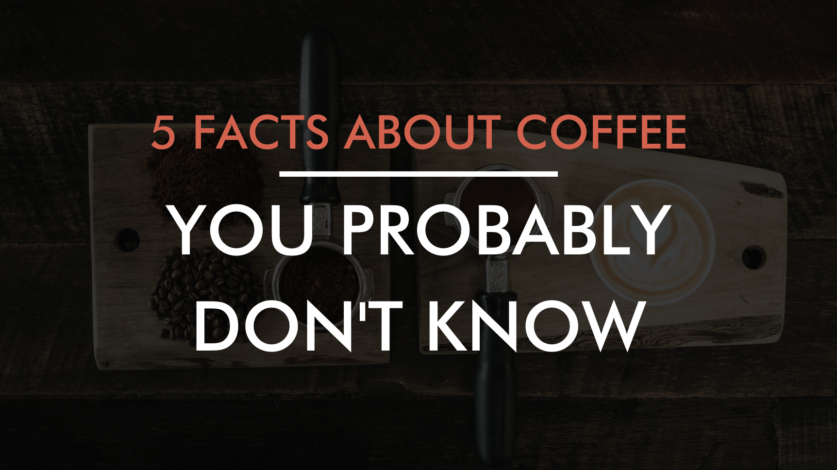 http://coffeebeansdelivered.com.au/cdn/shop/articles/5-facts-you-probably-dont-know-about-coffee.png?v=1632885681