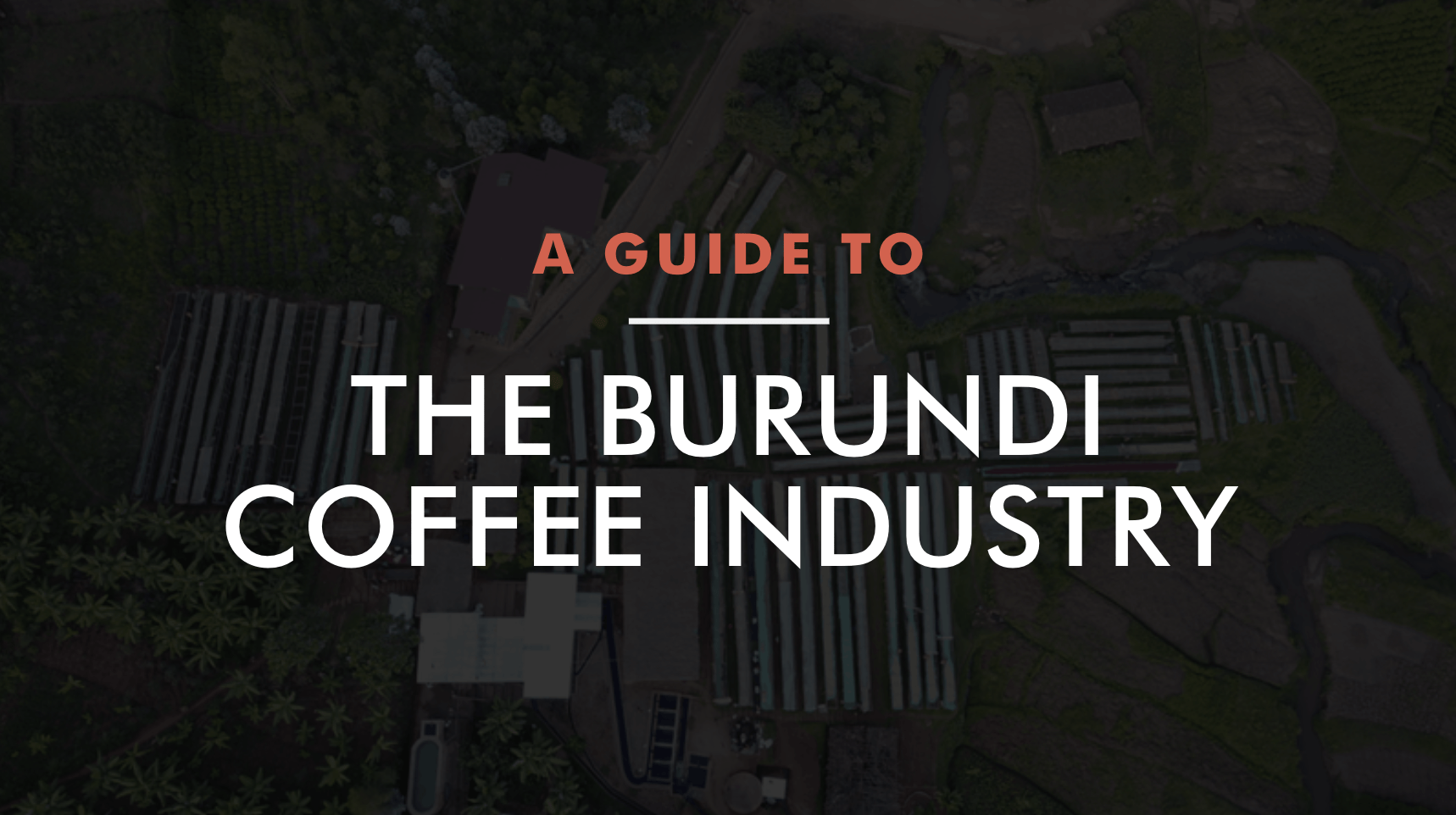 The Burundi Coffee Industry