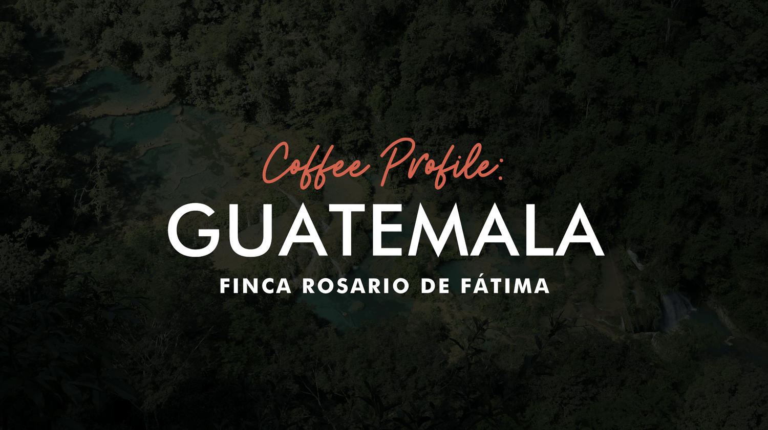 Guatemala coffee profile: Finca Rosario De Fátima