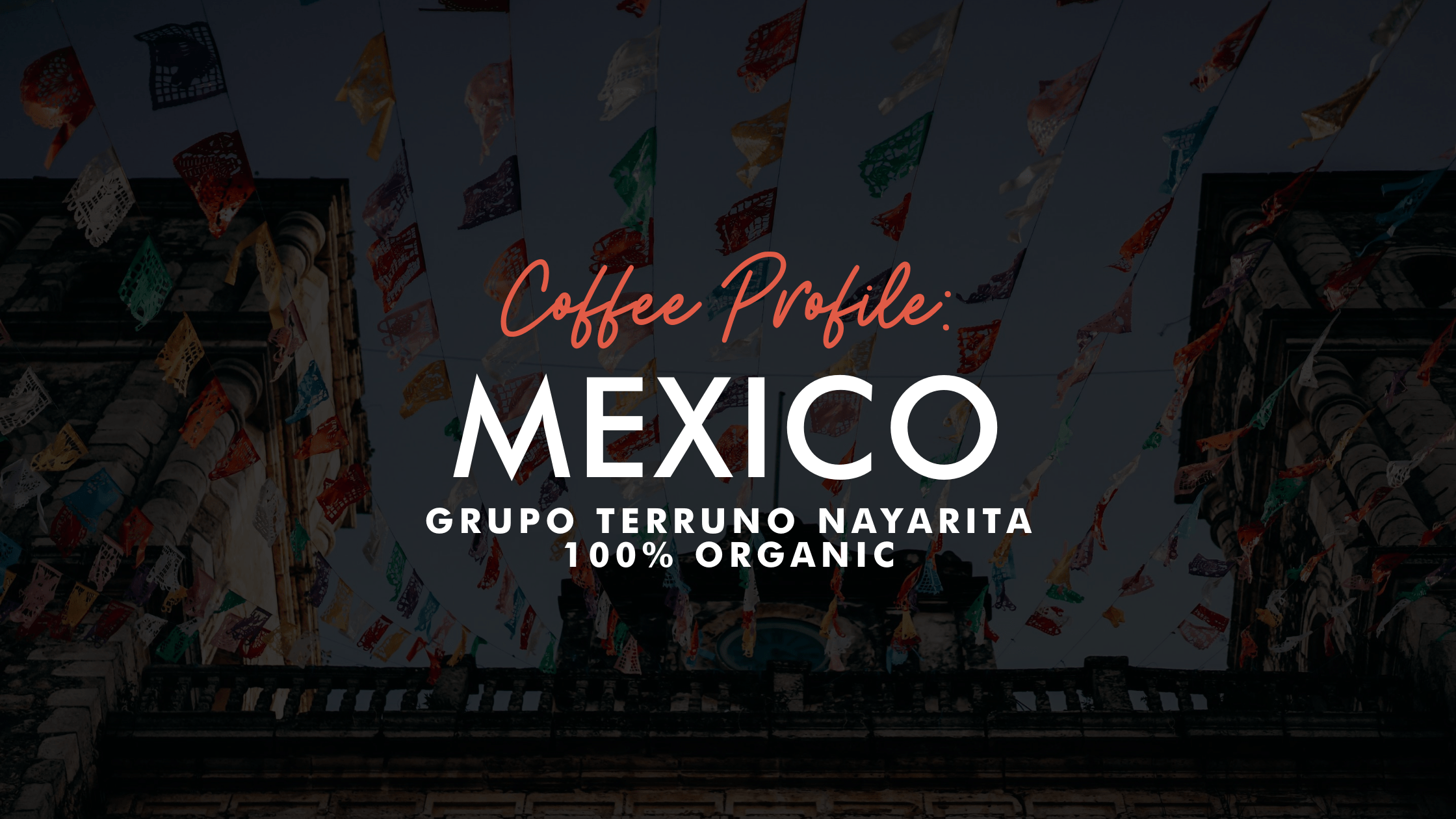Coffee Profile: Mexican Grupo Terruno Nayarita 100% Organic
