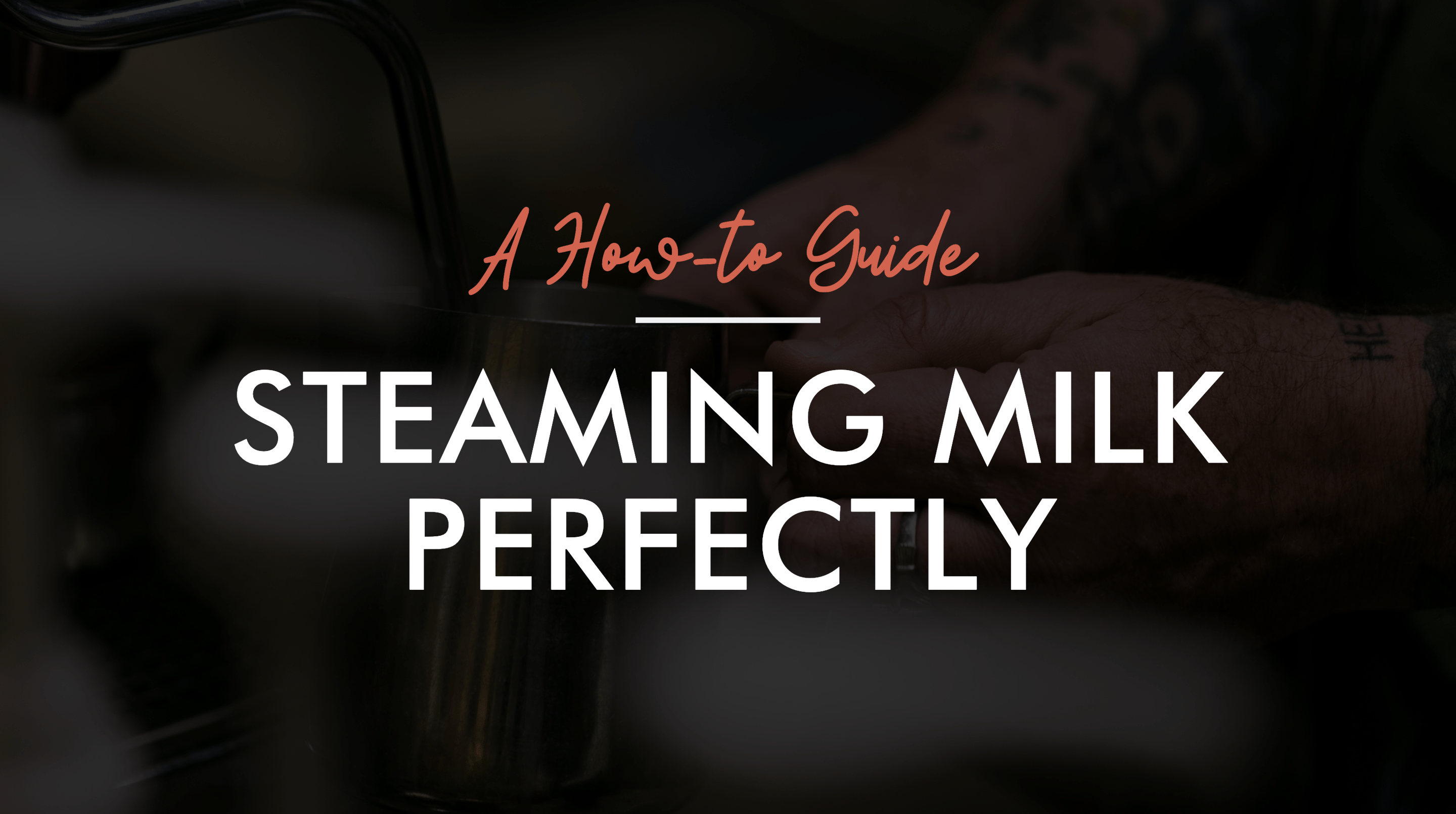 http://coffeebeansdelivered.com.au/cdn/shop/articles/How-to-steam-milk-perfectly.png?v=1632885669