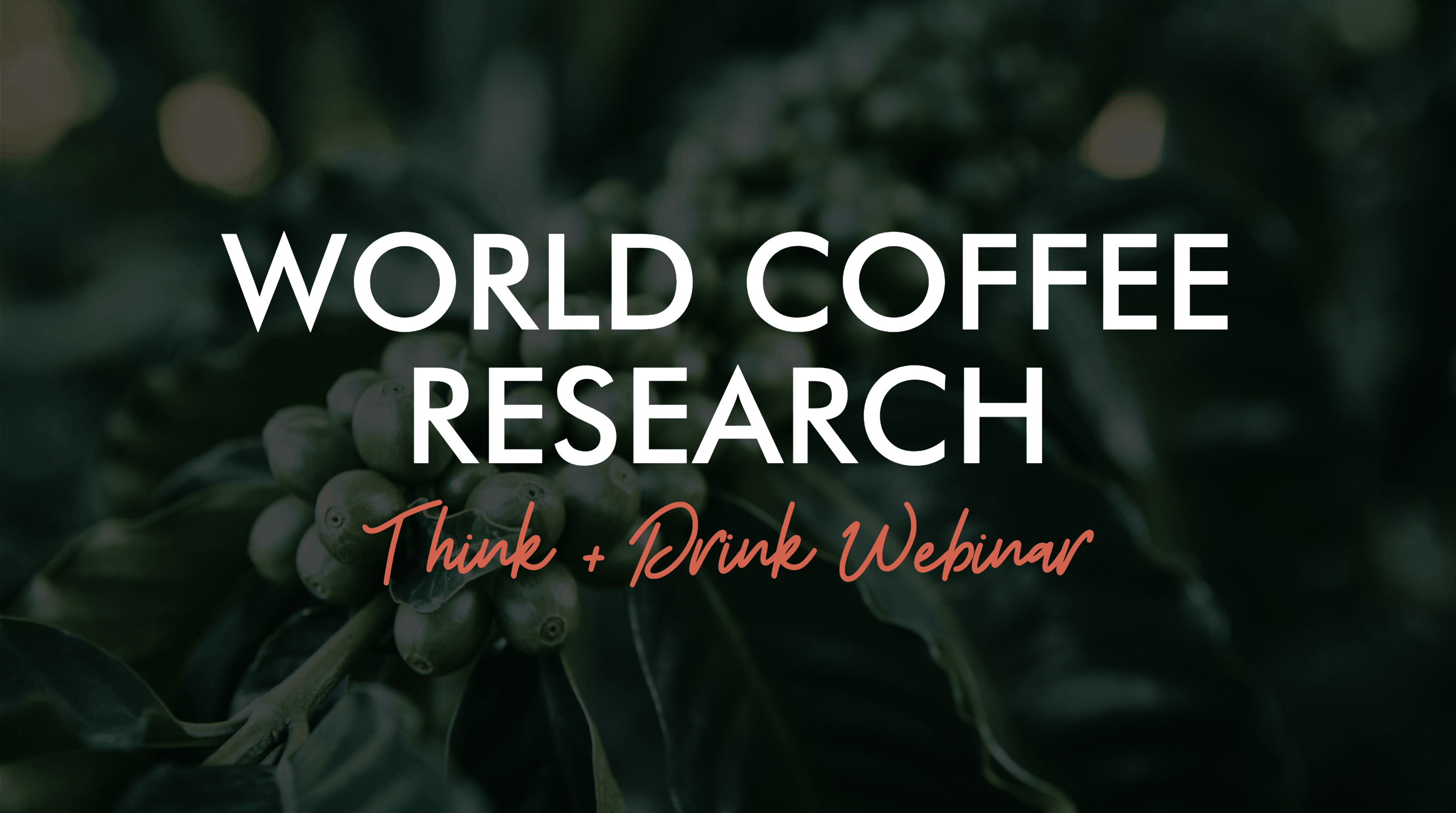 World Coffee Research