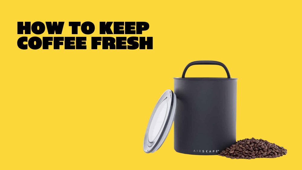how to keep your coffee fresh text over image of Ryd Coffee Coach holding airscape coffee canister