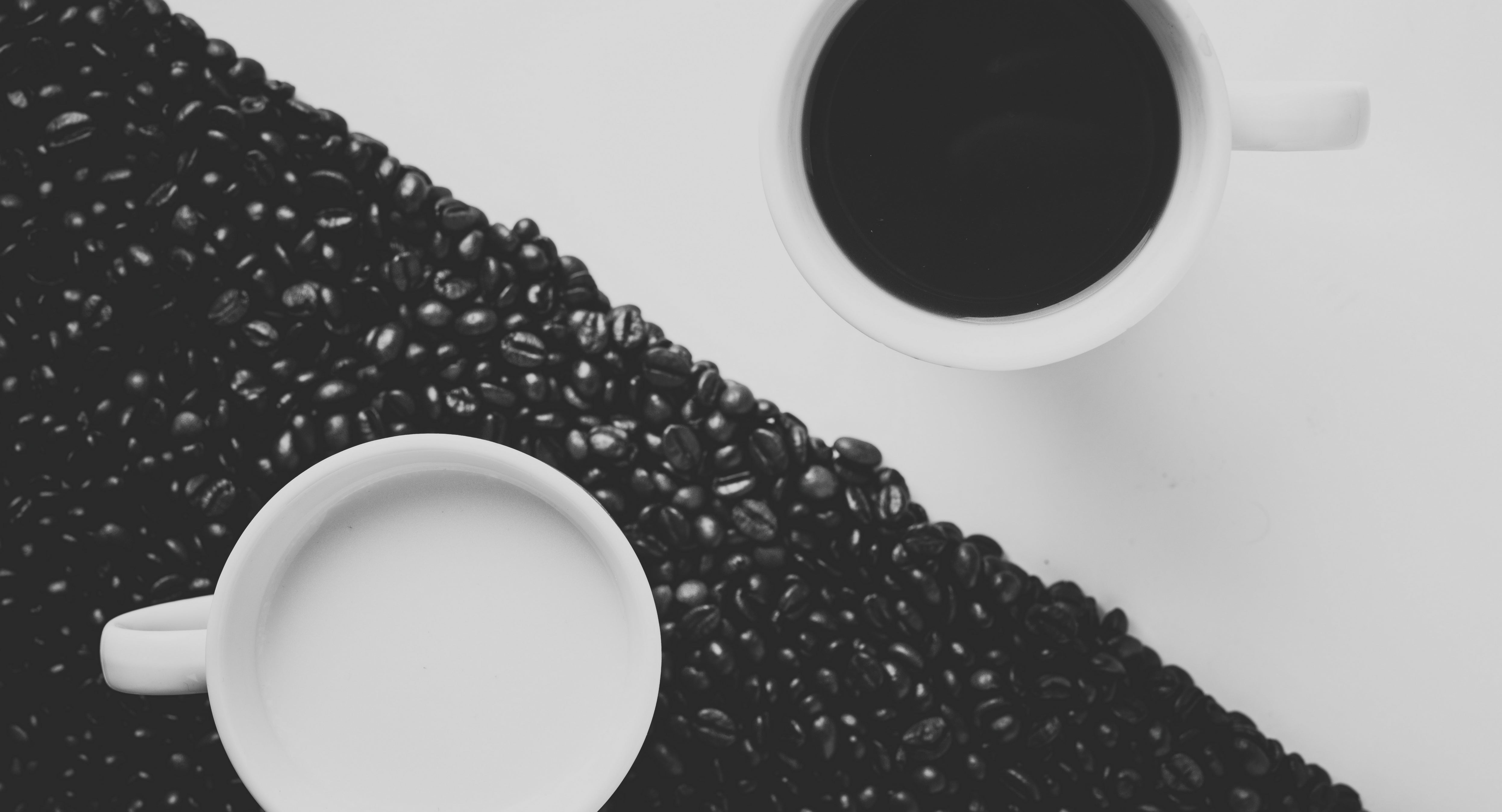 Coffee Freshness Meaning