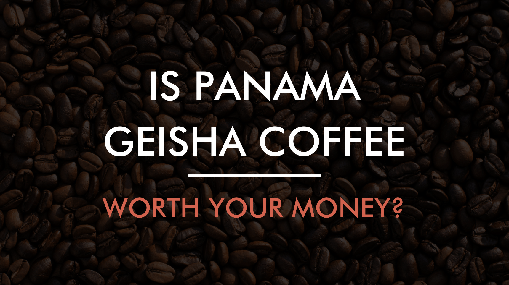 Why is Panama Geisha Coffee Worth Every Cent?