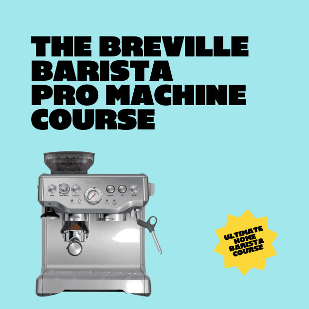 Breville Barista Pro machine for online learning course with black text on light blue background with gold sticker saying ultimate barista course