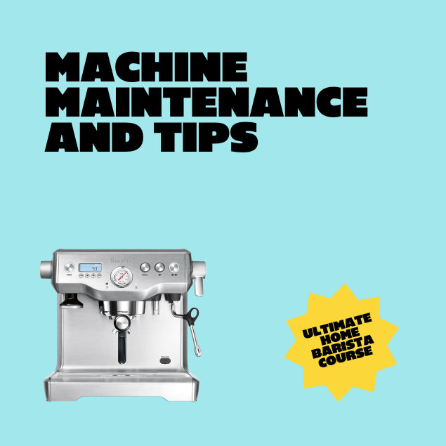 Small image of breville coffee machine for online learning course with black text on light blue background with gold sticker saying ultimate barista course