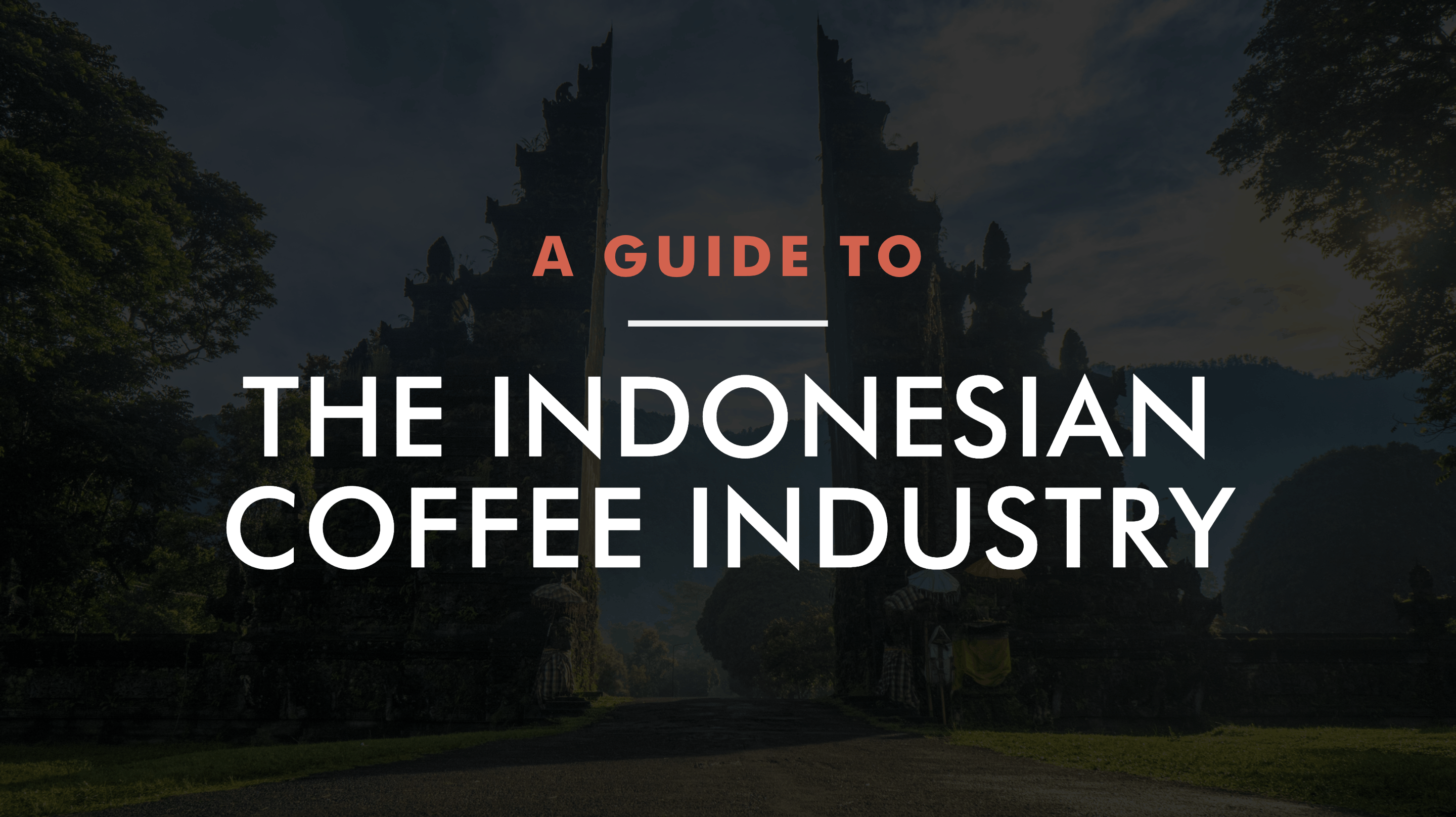 The Indonesian Coffee Industry