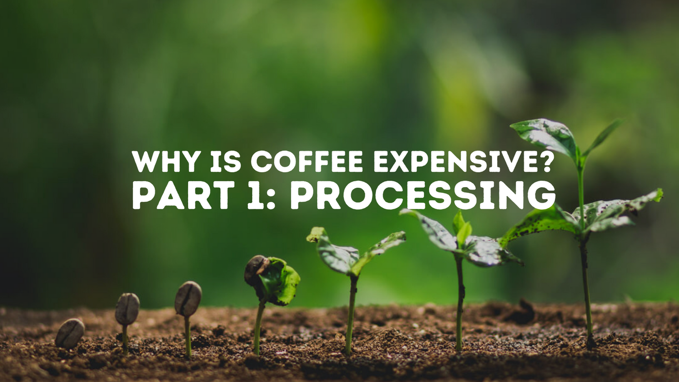 why-is-coffee-expensive-coffee-vs-wine