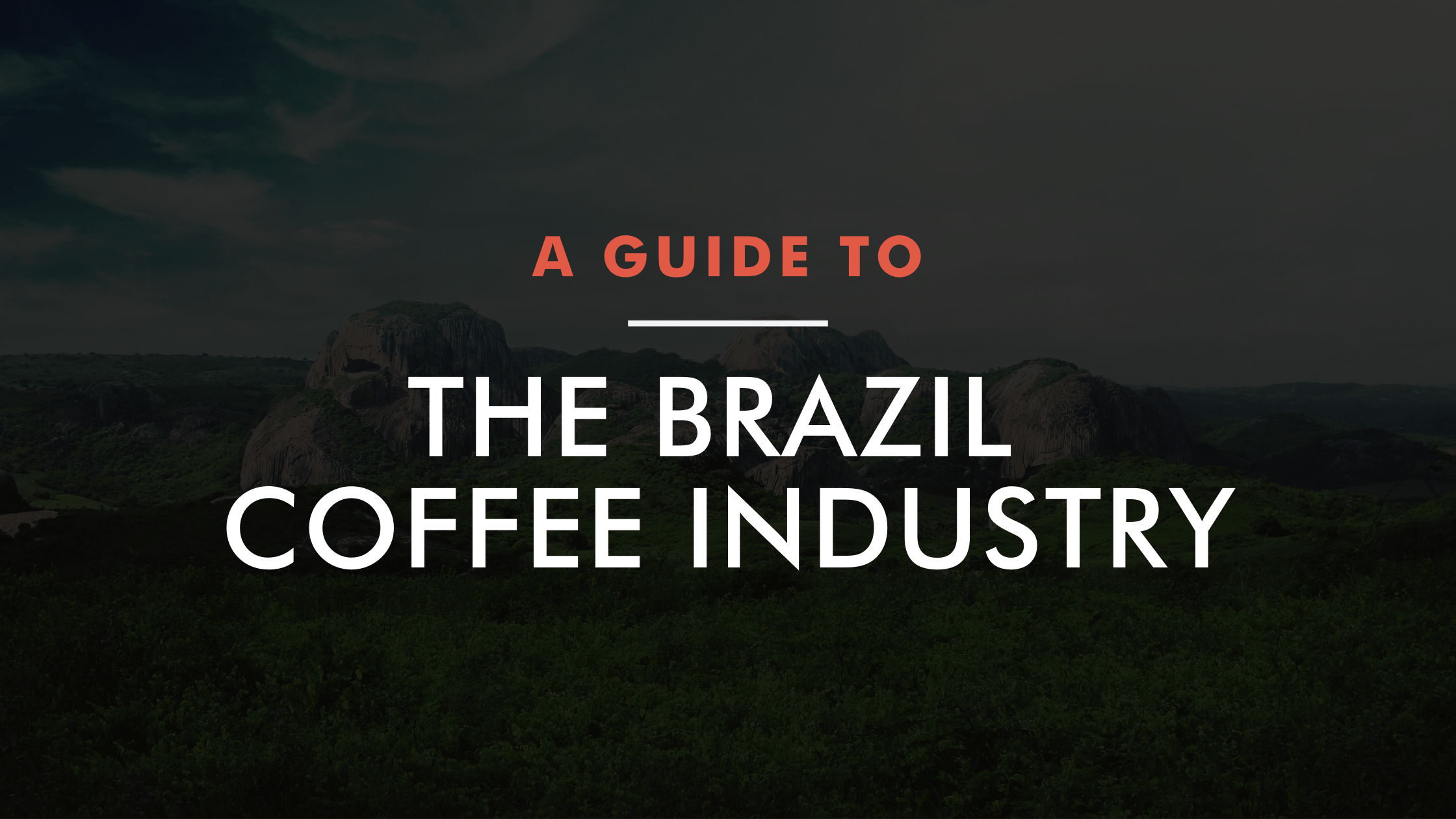 Brazil's Coffee Industry