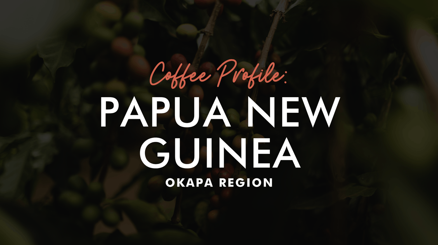 Coffee Profile: Papua New Guinean Single Origin