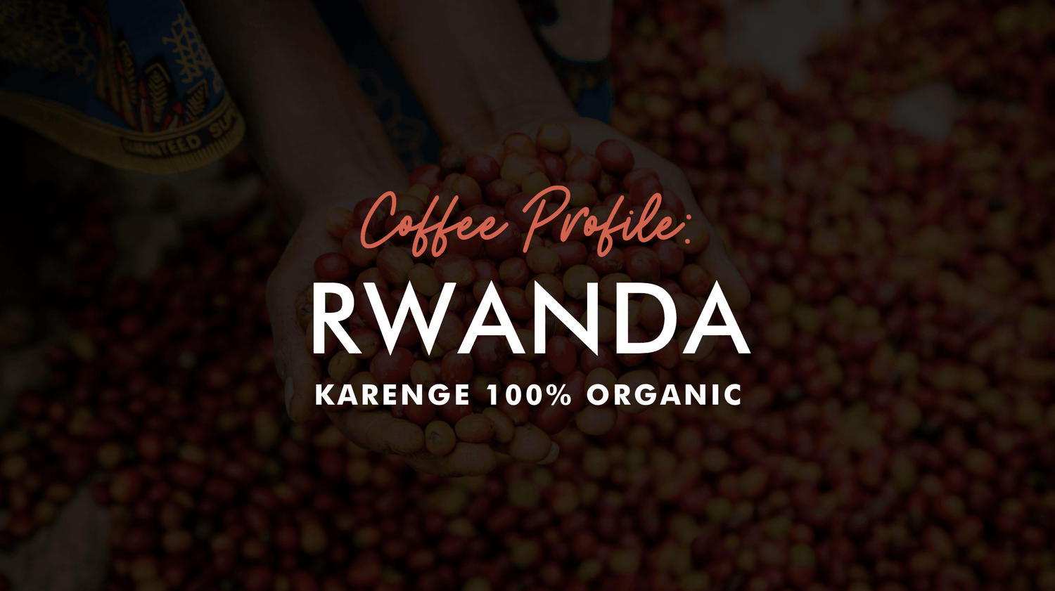 Coffee Profile: Rwanda Karenge 100% Organic