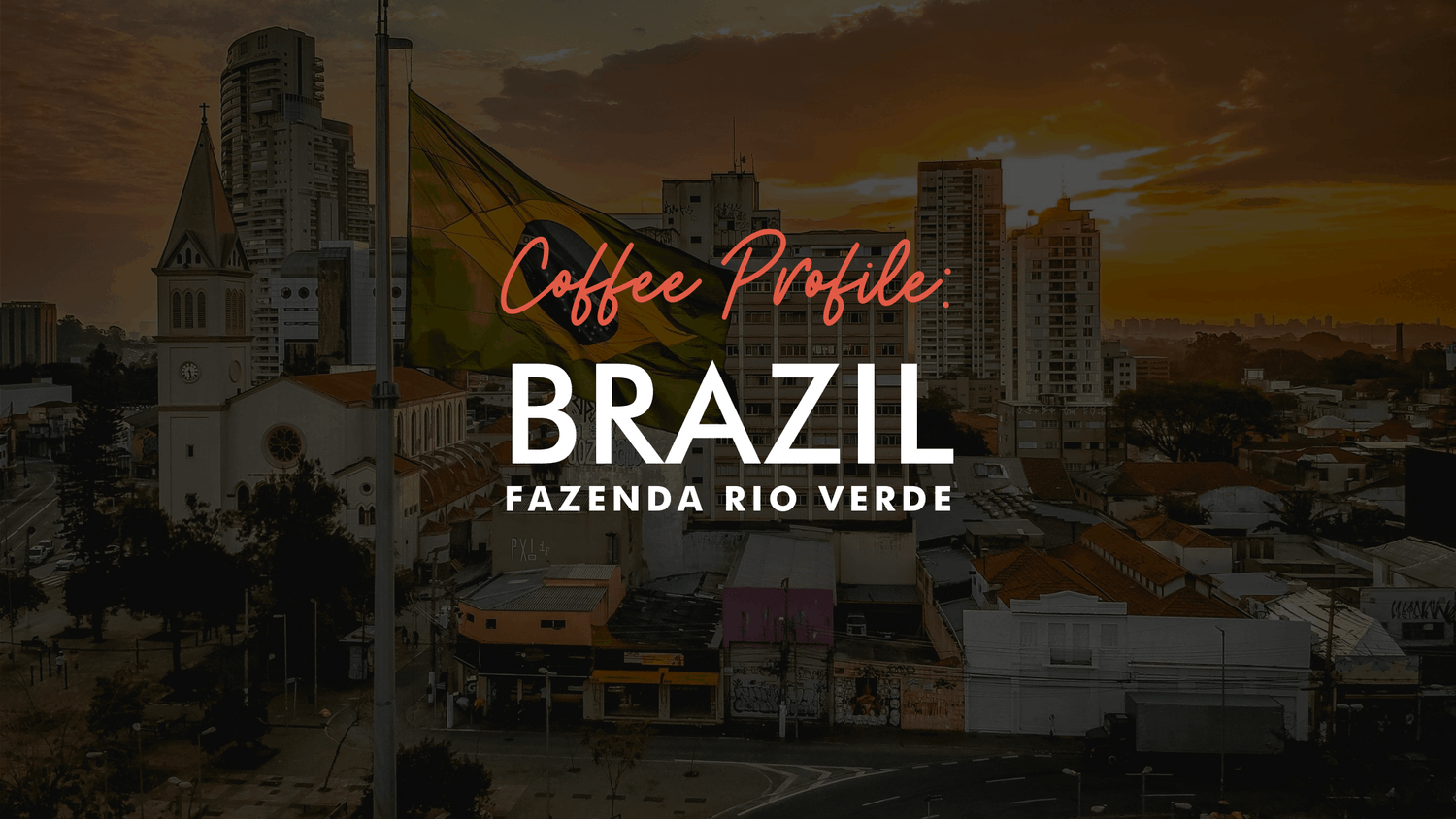 Coffee Profile: Brazil Fazenda Rio Verde