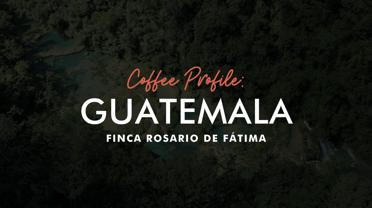 Guatemala coffee profile: Finca Rosario De Fátima