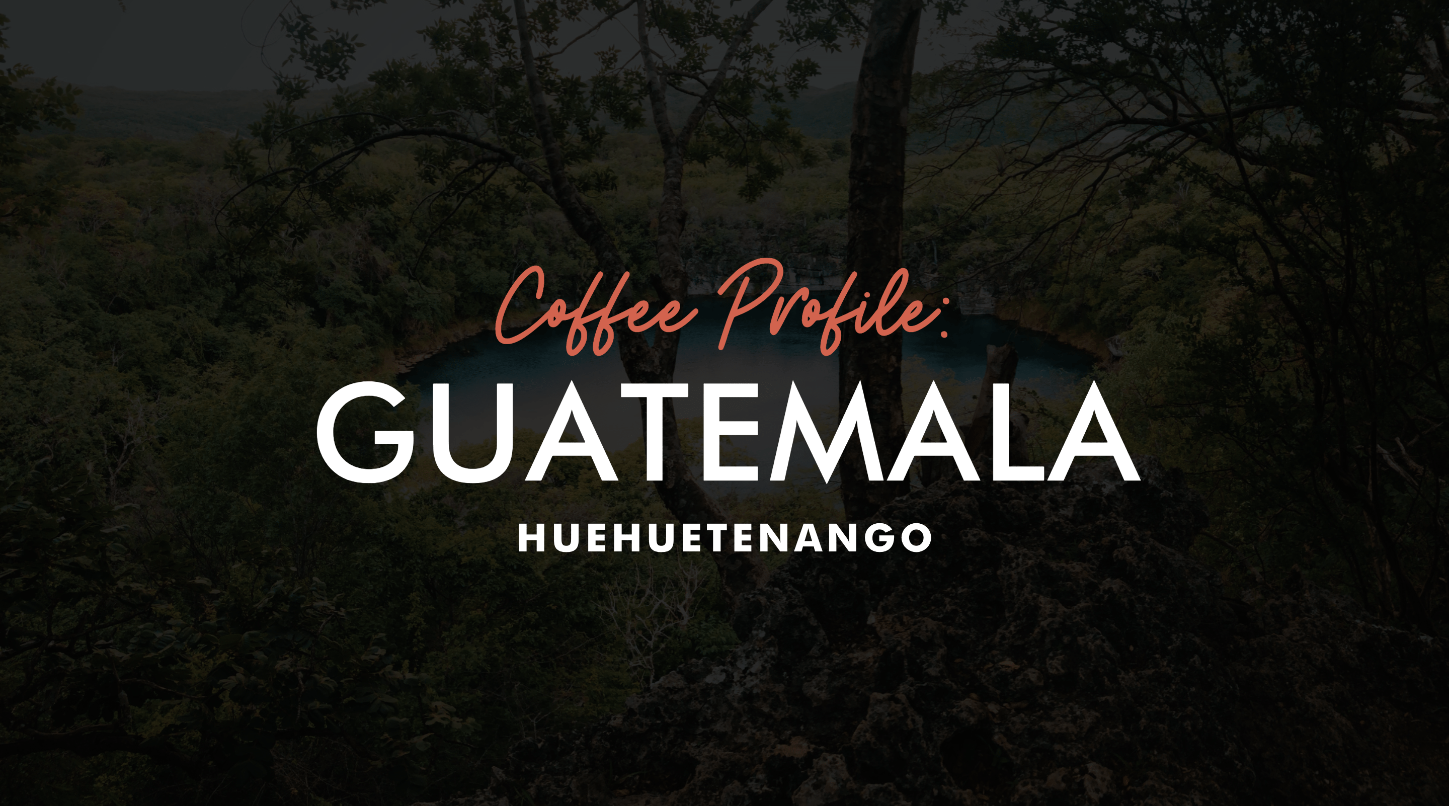 Guatemala coffee profile: Huehuetenango coffee region