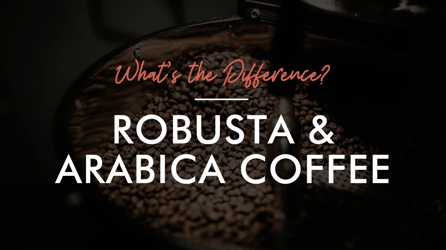 What's The Difference Between Robusta & Arabica Coffee?