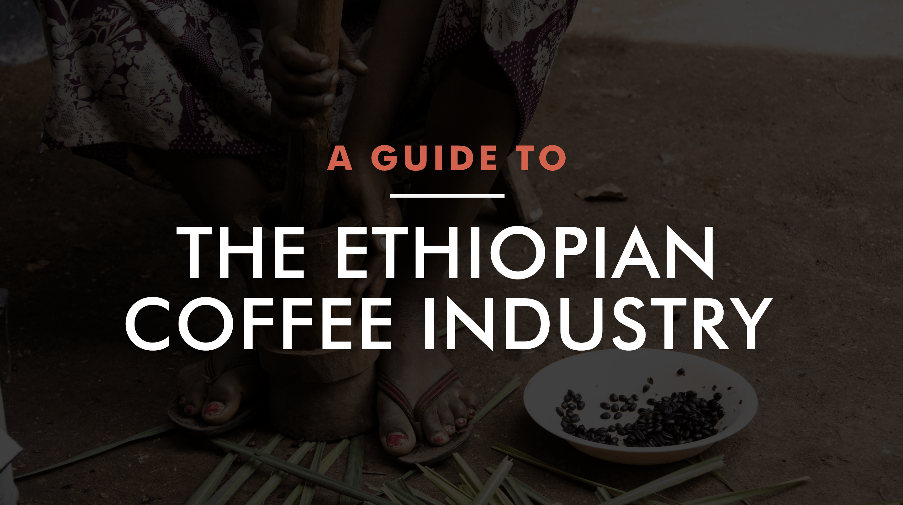 The Ethiopian Coffee Industry