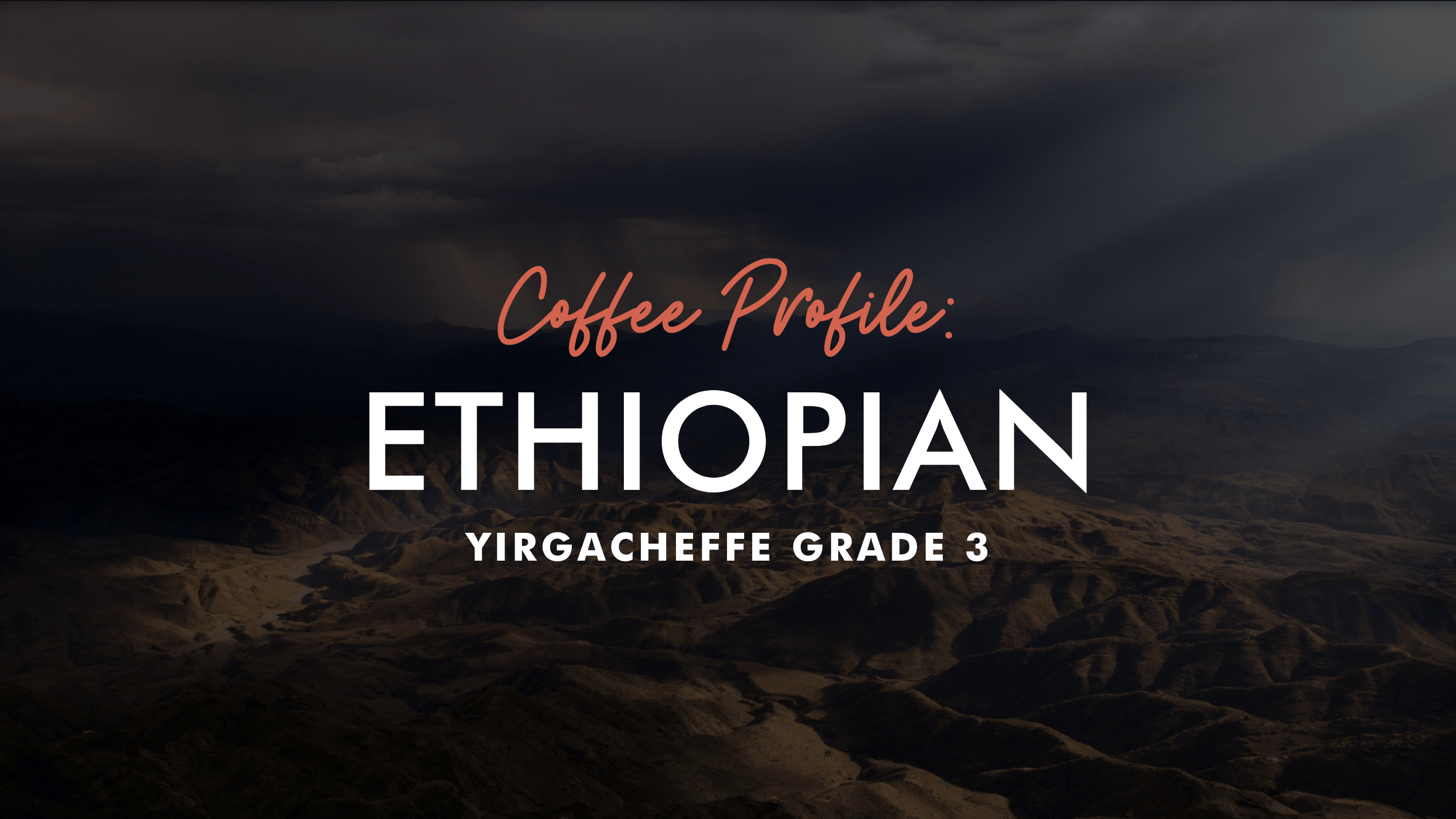 Coffee Profile: Ethiopian Yirgacheffe Grade 3