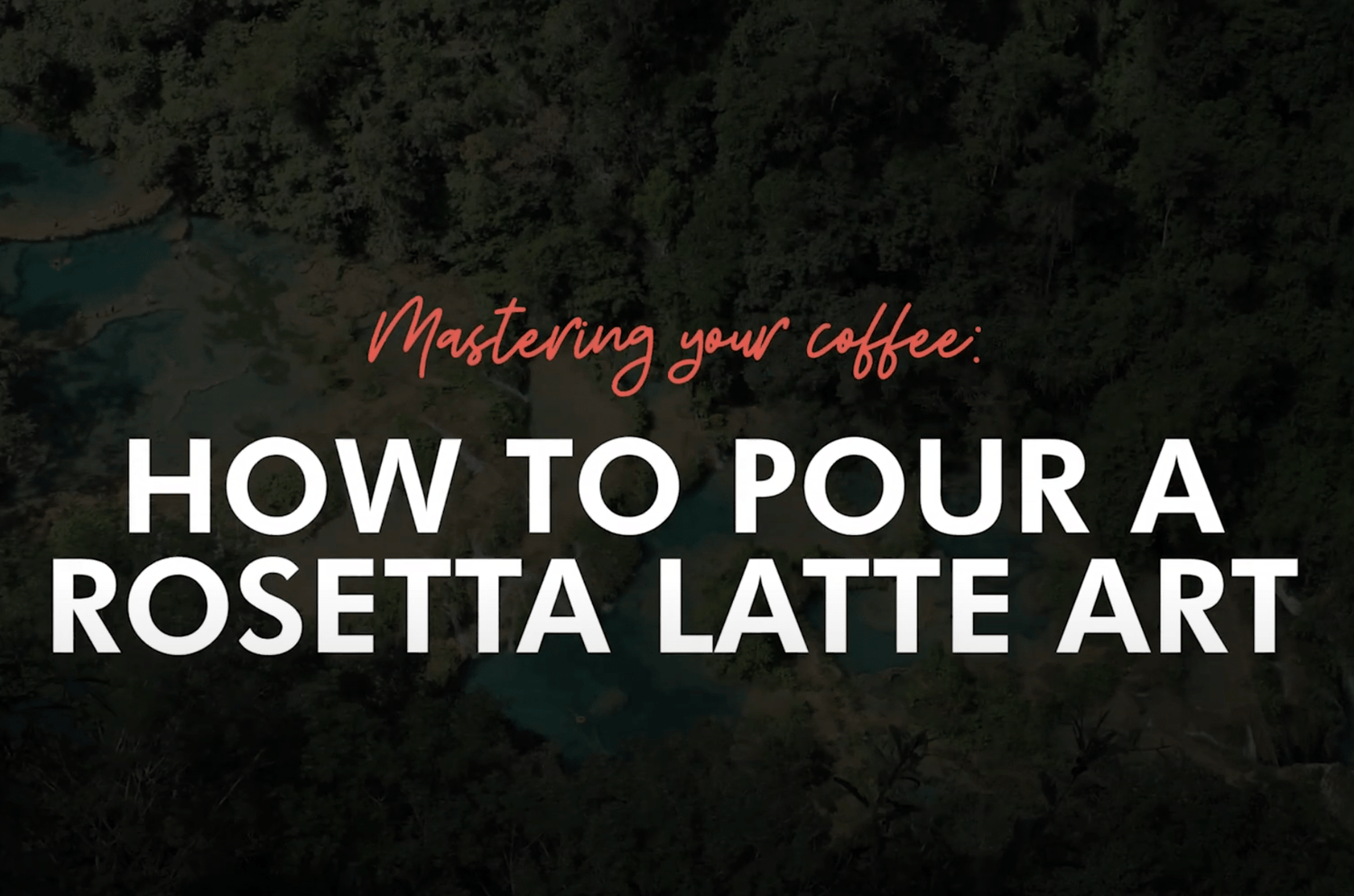 Rosetta latte art coffee design