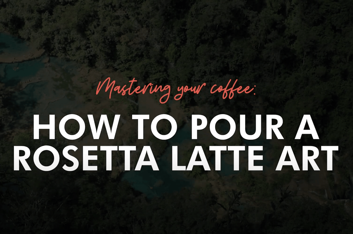 How to Pour A Rosetta Latte Art (Also known as a Fern Leaf)