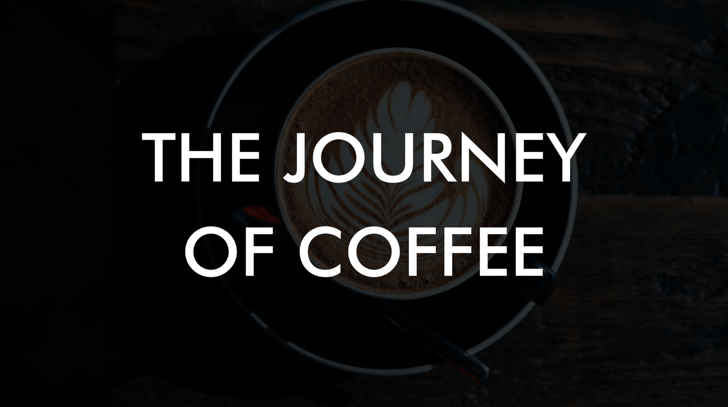 The Journey Of Coffee