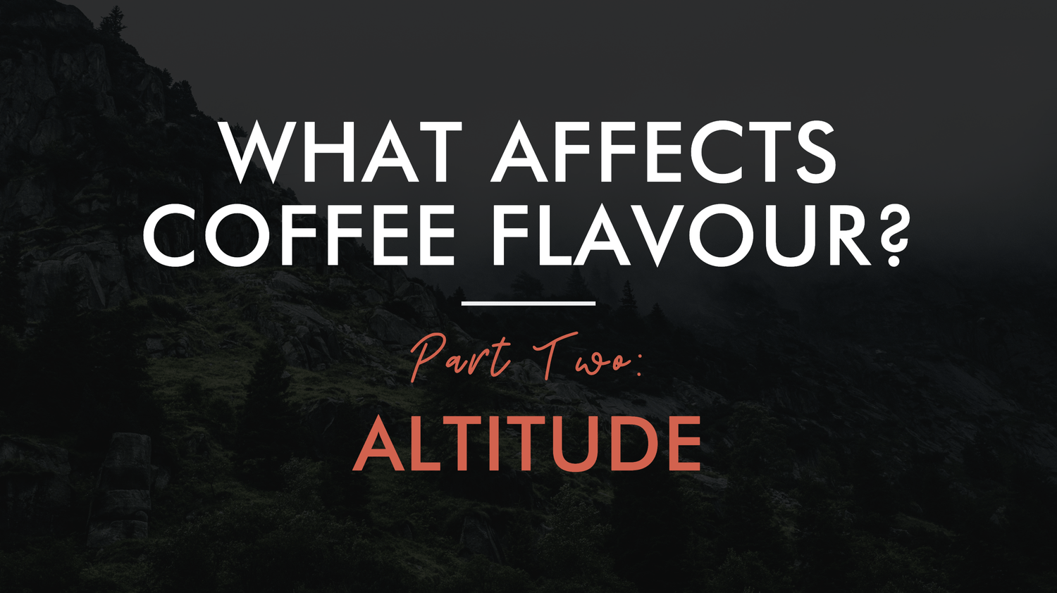 What Affects Coffee Flavour Part 2: Altitude