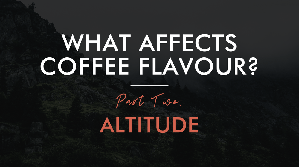 What Affects Coffee Flavour Part 2 Altitude