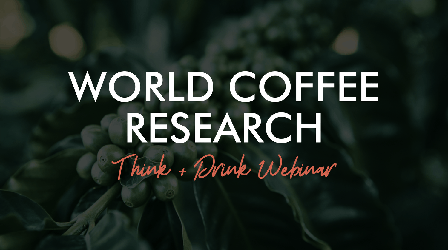 Coffee cherries in background with text World Coffee Research Think and Drink Webinar