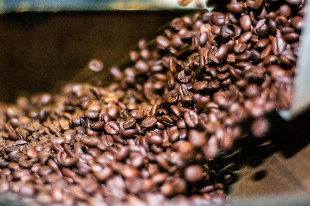 brazilian icatu coffee beans pouring out of the roaster