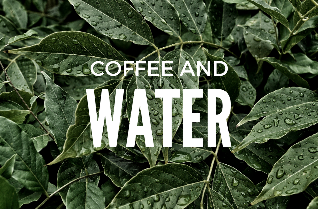 Water Coffee Relationship