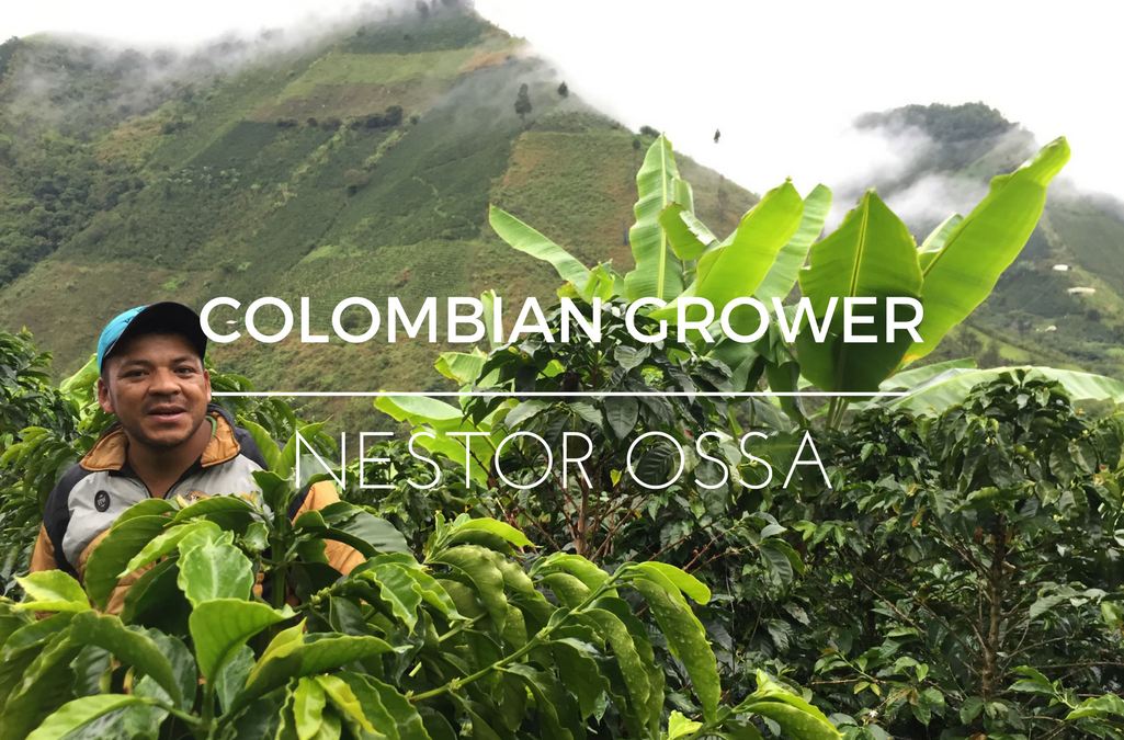 Colombian Farmer Nestor Ossa