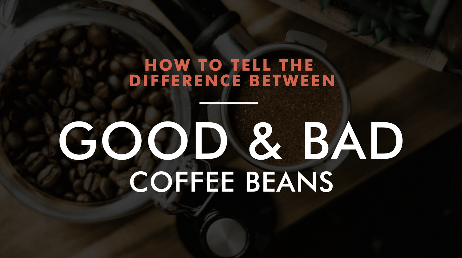 How To Tell The Difference Between Good & Bad Coffee Beans