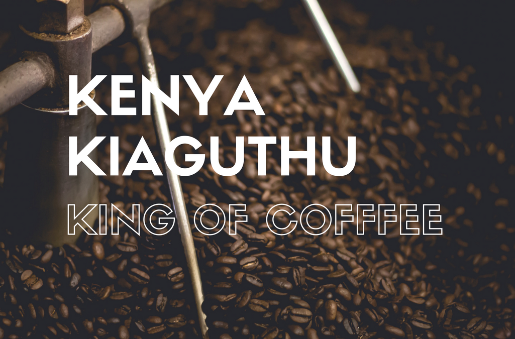 Why the Kenya Kiaguthu is king of Specialty Coffee Beans