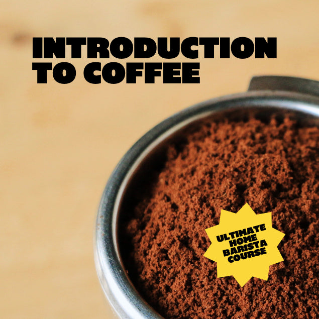 Upclose image of portafilter filled with coffee grinds with black text over the top introduction to coffee